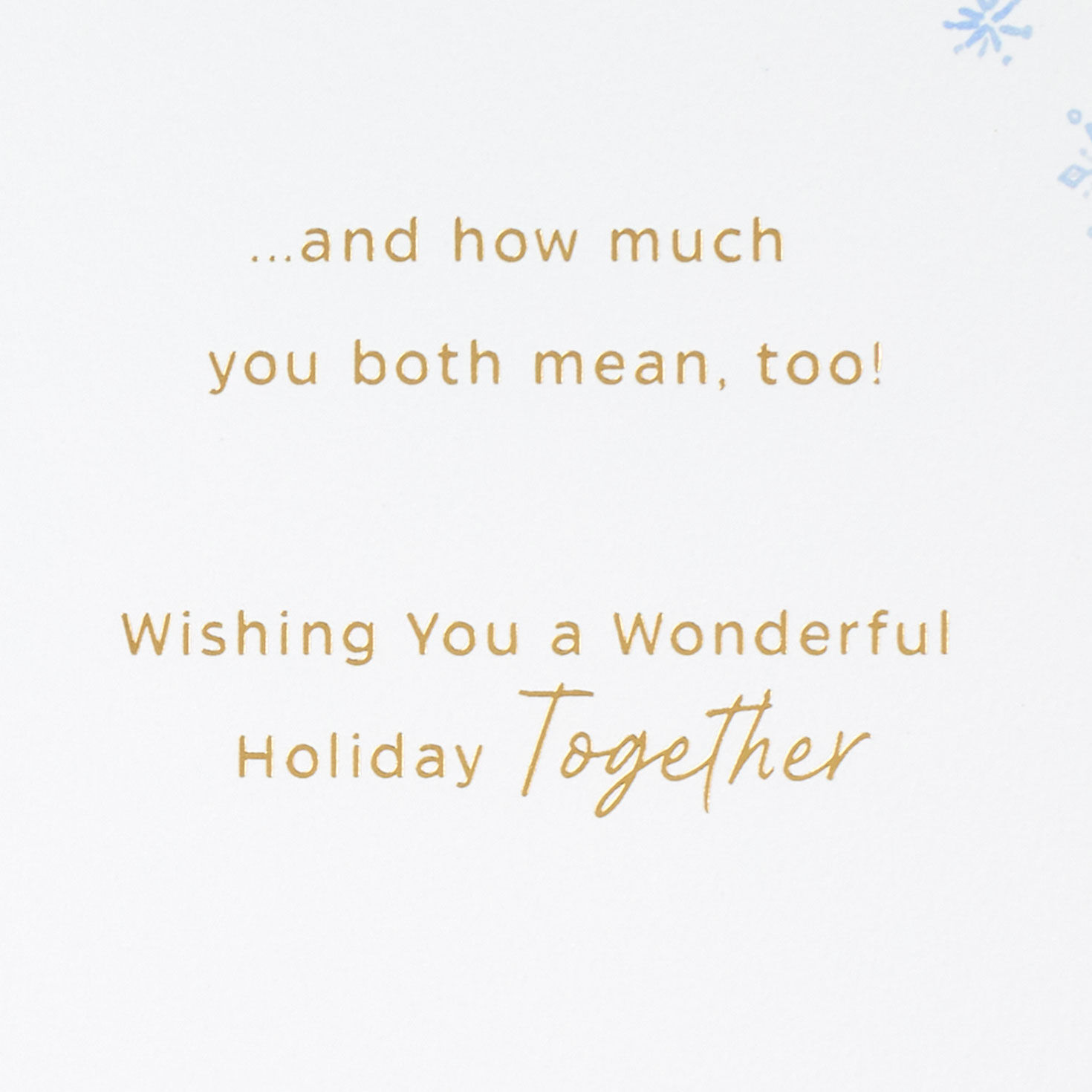 Snuggling Owls Christmas Card for Son and Partner Sentiment image number 3