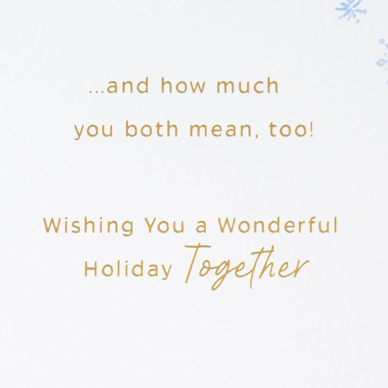 Snuggling Owls Christmas Card for Son and Partner Sentiment image number 3