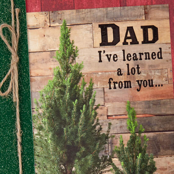 I've Learned a Lot From You Christmas Card for Dad, , large image number 4