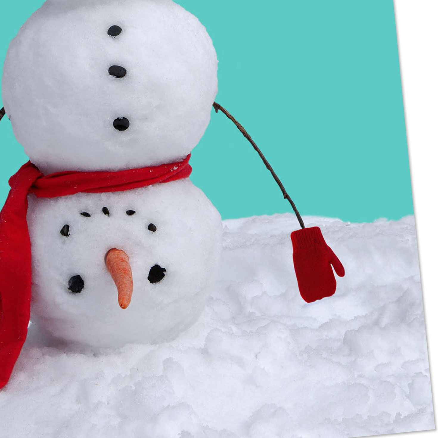 Celebrate 'til Your Carrot Falls Off Snowman Funny Holiday Card, , large image number 4