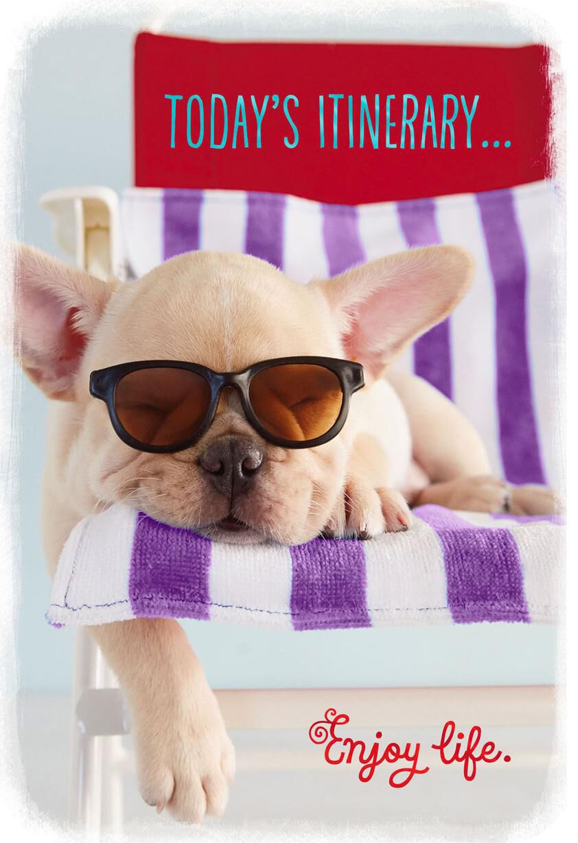 Dog in Sunglasses Enjoy Life Retirement Card