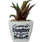Faux Potted Succulent With Daughter Message, , large image number 1