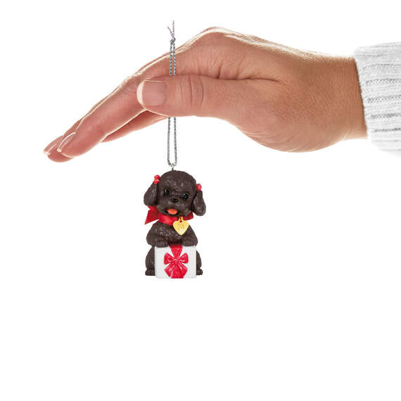 Puppy Love Poodle 2024 Ornament, , large image number 4