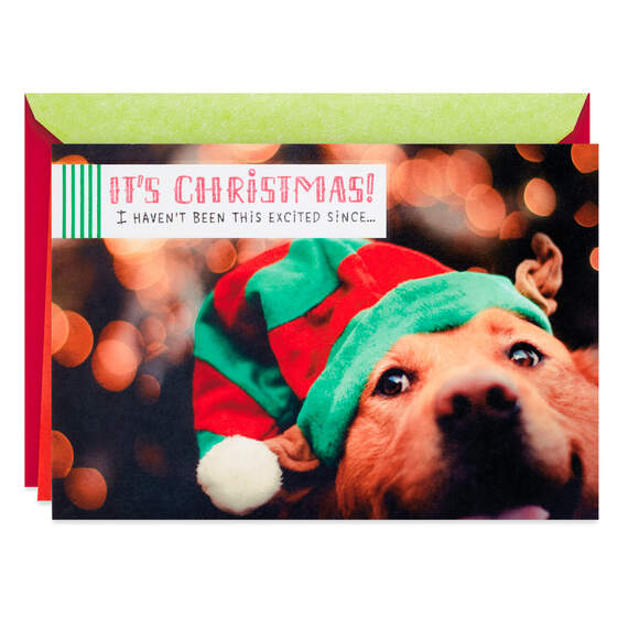 Pawsome Elf Pup Funny Christmas Card From the Dog, , large image number 1