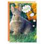 Bunny Farts Funny Easter Card, , large image number 1