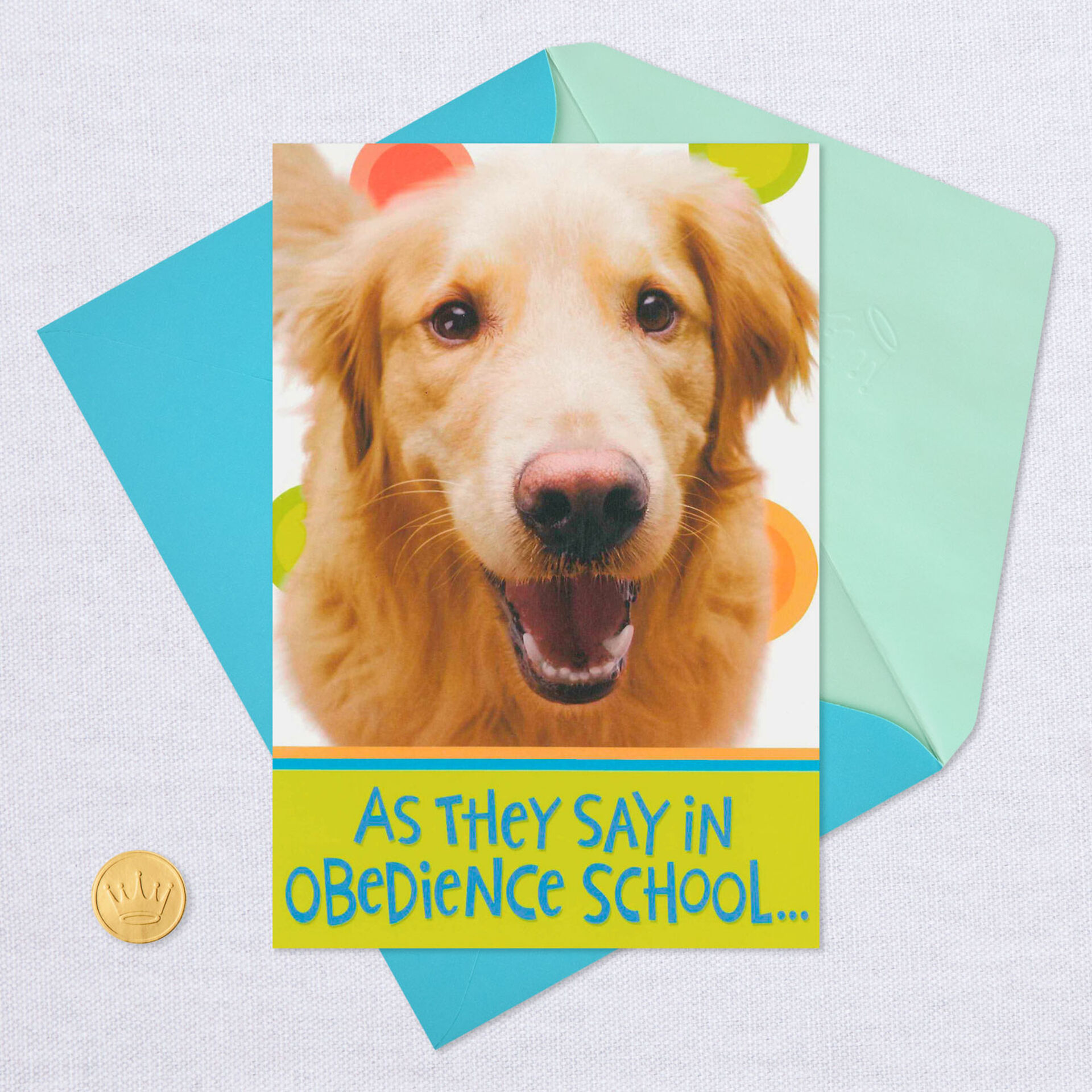 Healing Dog Funny Get Well Card - Greeting Cards - Hallmark