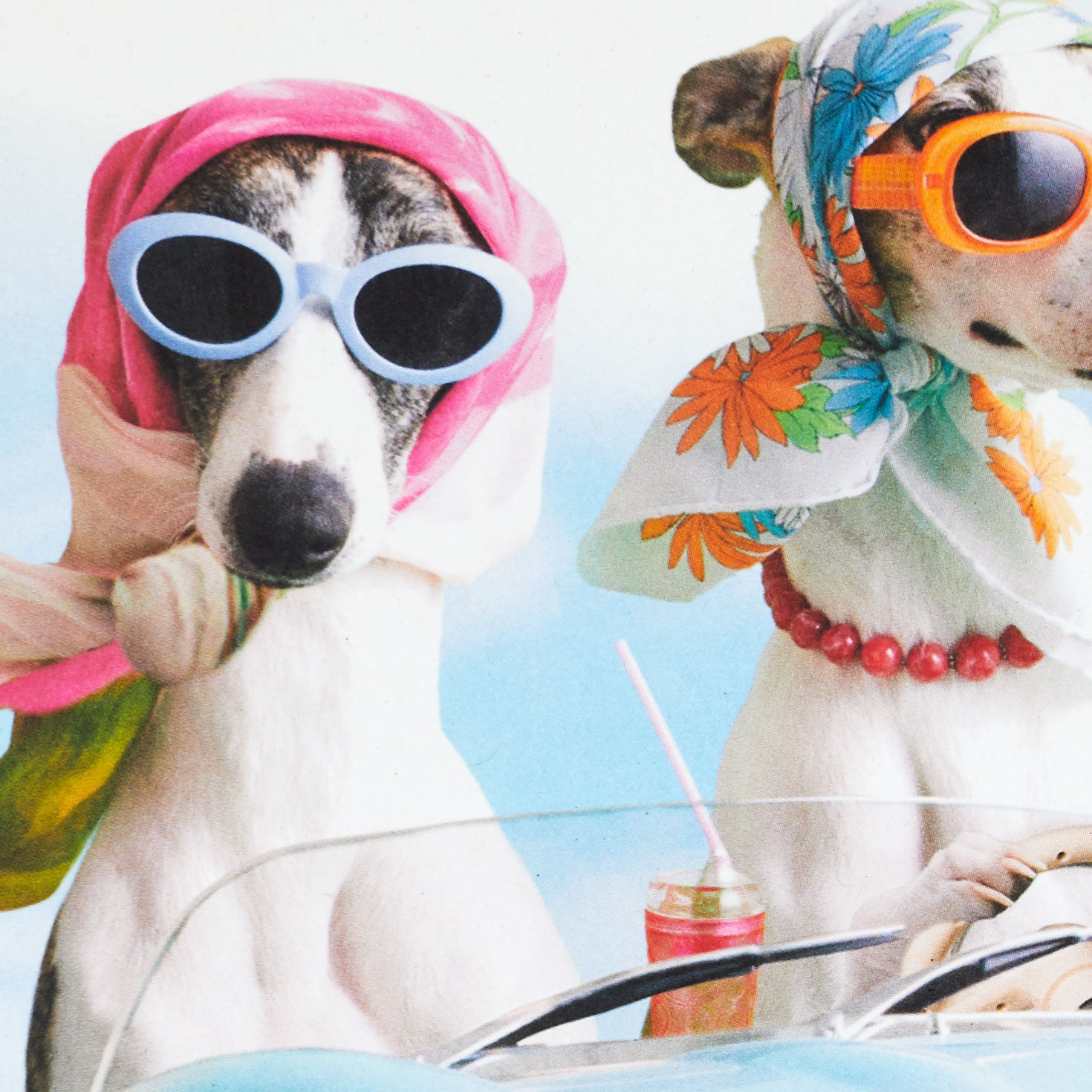 A Sun-in-Your-Face Kind of Day Funny Birthday Card for only USD 3.99 | Hallmark