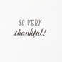 Assorted Religious Thanksgiving Cards, Pack of 6, , large image number 5