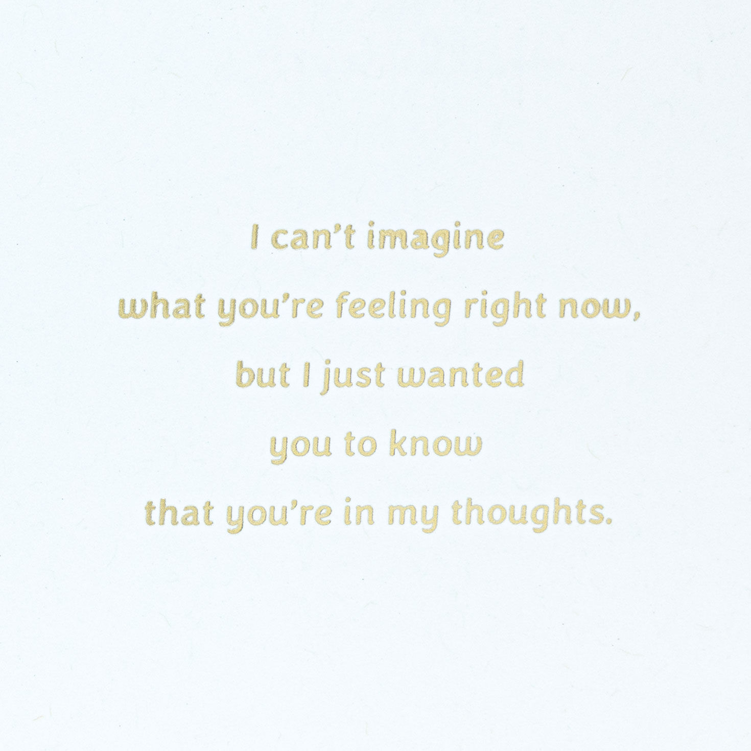 I'm So, So Sorry Sympathy Card, , large image number 2