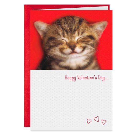 You Make Me Smile Valentine's Day Card, , large image number 1