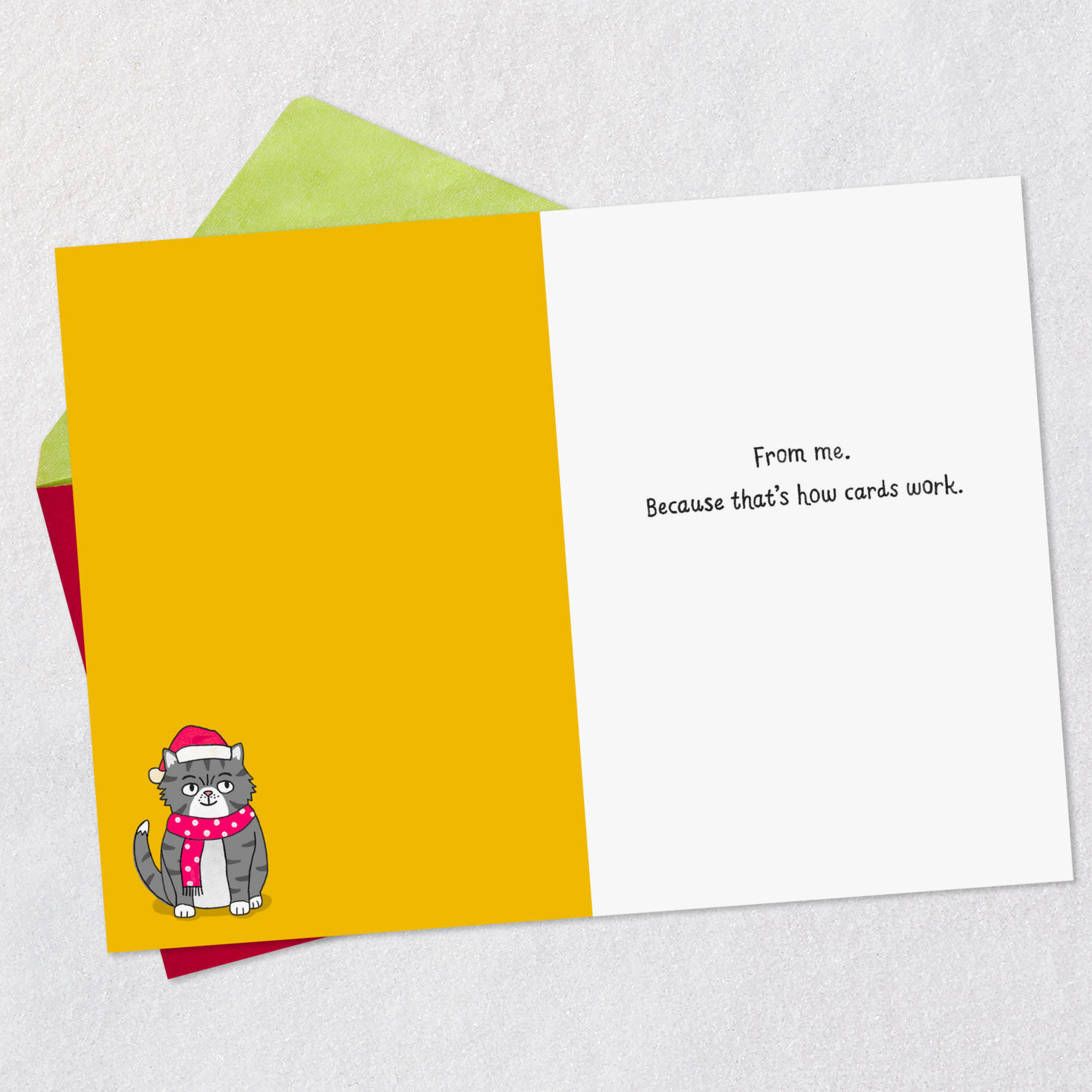 Gray Grumpy Cat Funny Christmas Card Open card with envelope image number 3