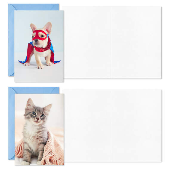 Dynamic Dogs and Cats Boxed Blank Cards Assortment, Pack of 12, , large image number 3