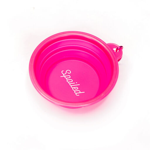 Mary Square Spoiled Hot Pink Collapsible Pet Water Bowl, 