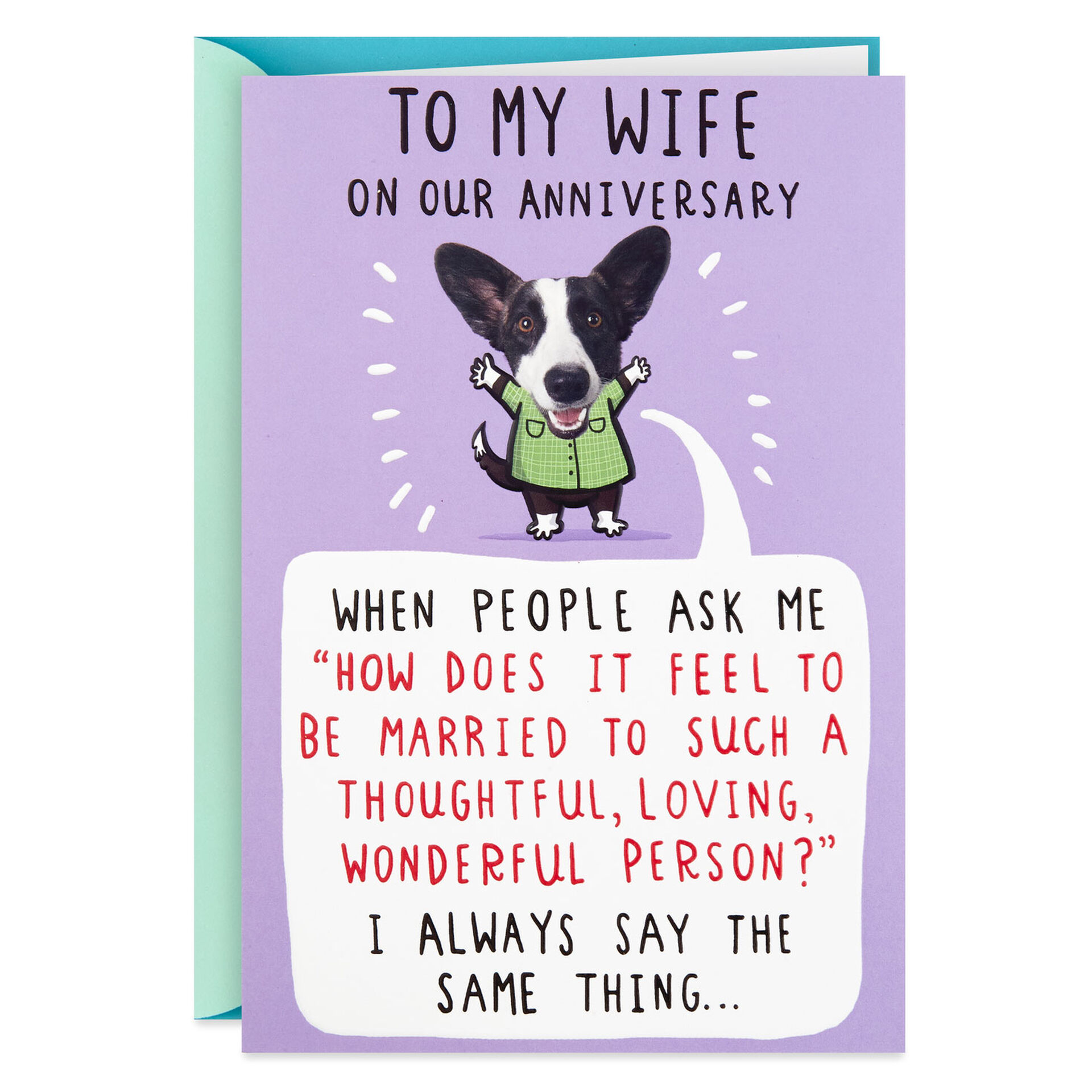 Married to a Wonderful Person Funny Anniversary Card for Wife - Greeting  Cards - Hallmark
