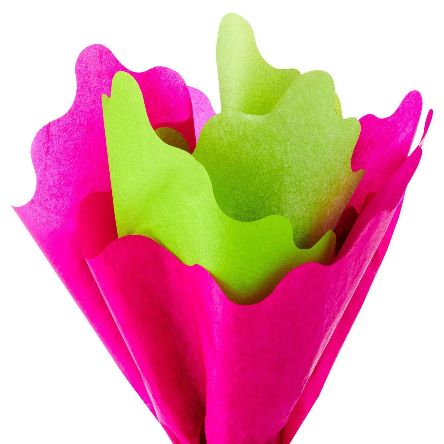 Bright Pink and Green Scalloped Tissue Paper Pack Fanned image number 2