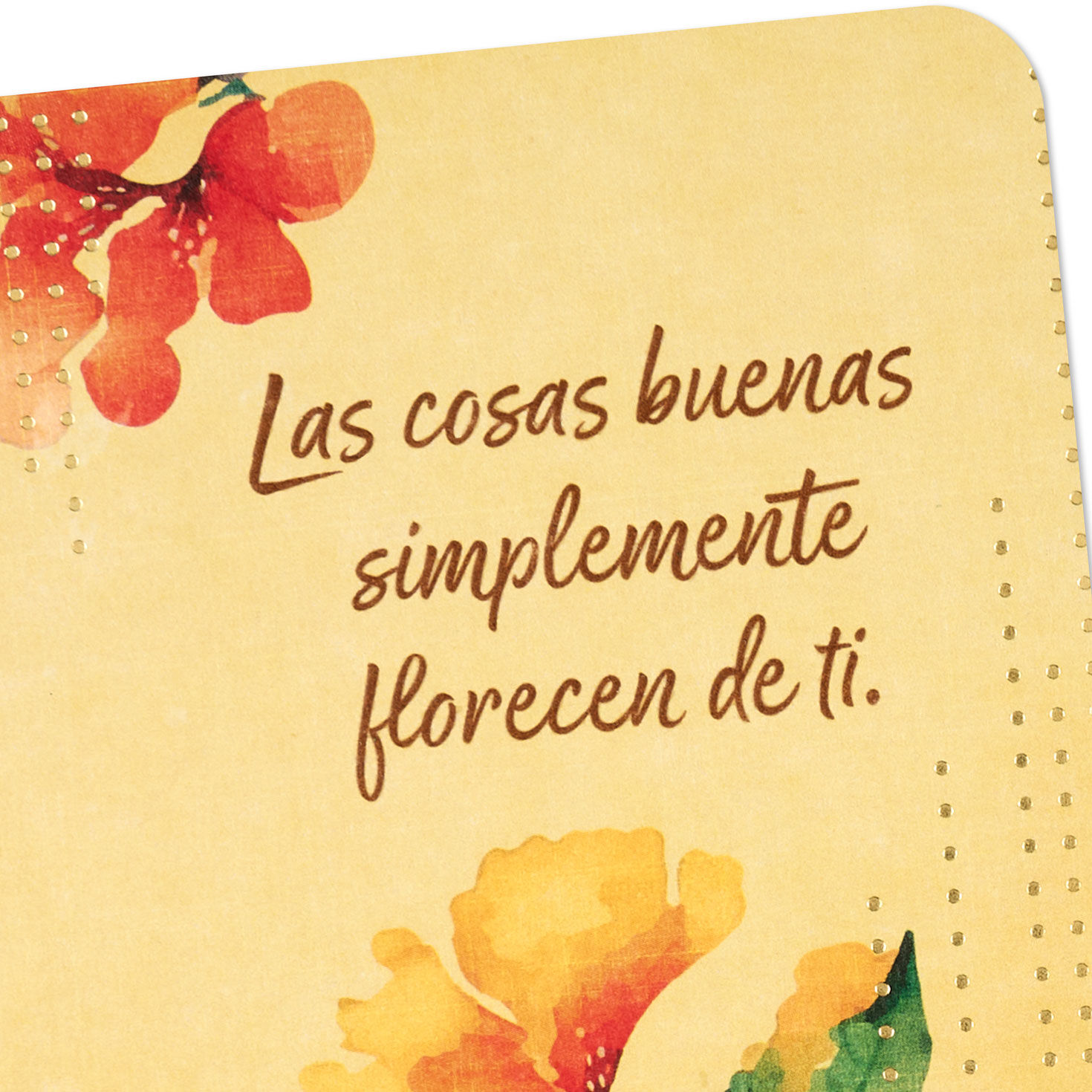 Nice Things Bloom From You Spanish-Language Thank You Card for only USD 4.59 | Hallmark