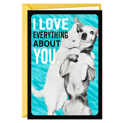 Cat and Dog Funny Anniversary Card, 