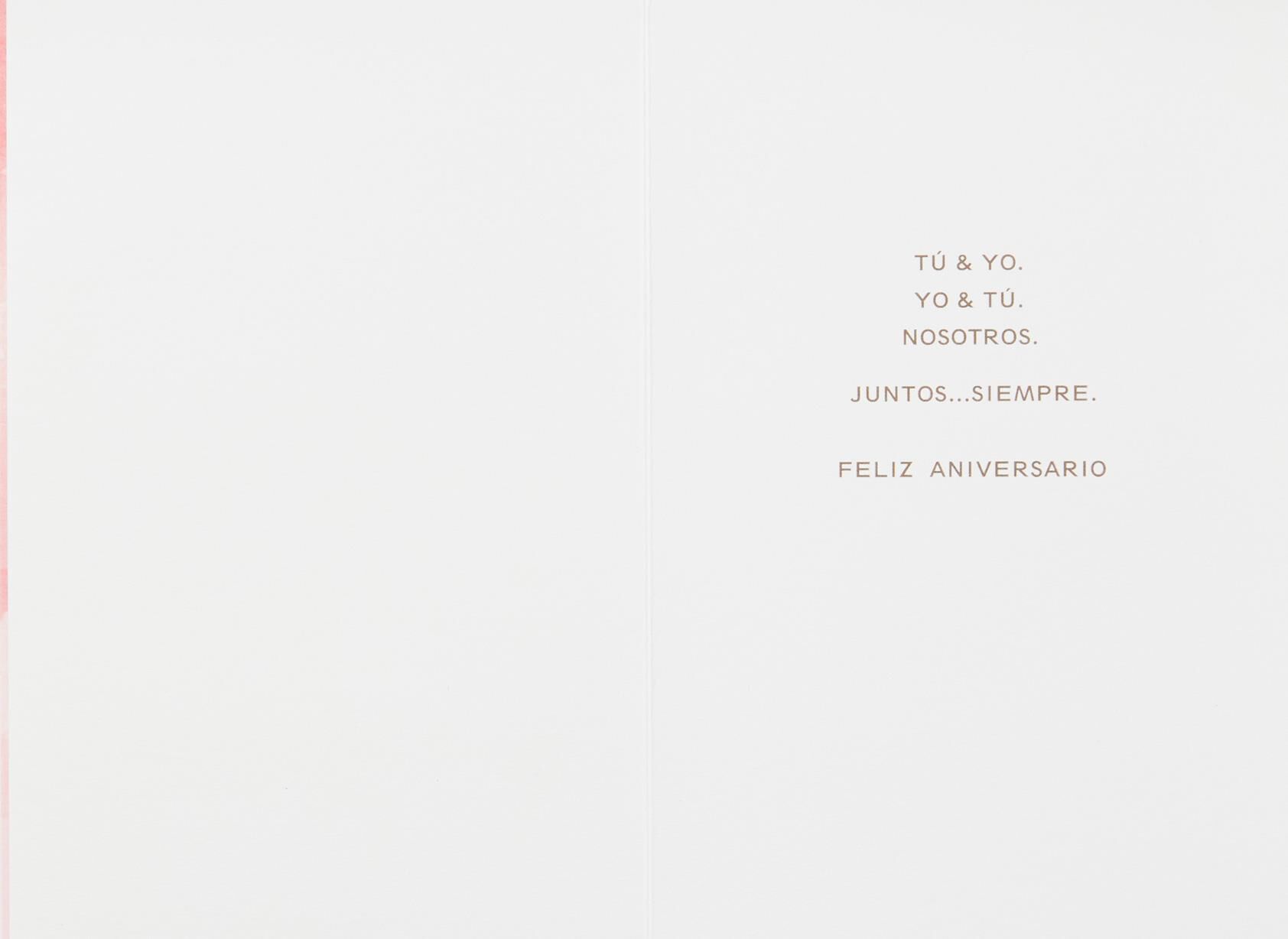 Tú & Yo Siempre Spanish Language Anniversary Card