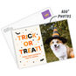 Paw-ty Animal Pet Photo Personalized Halloween Card Card Front indicating personalization image number 2