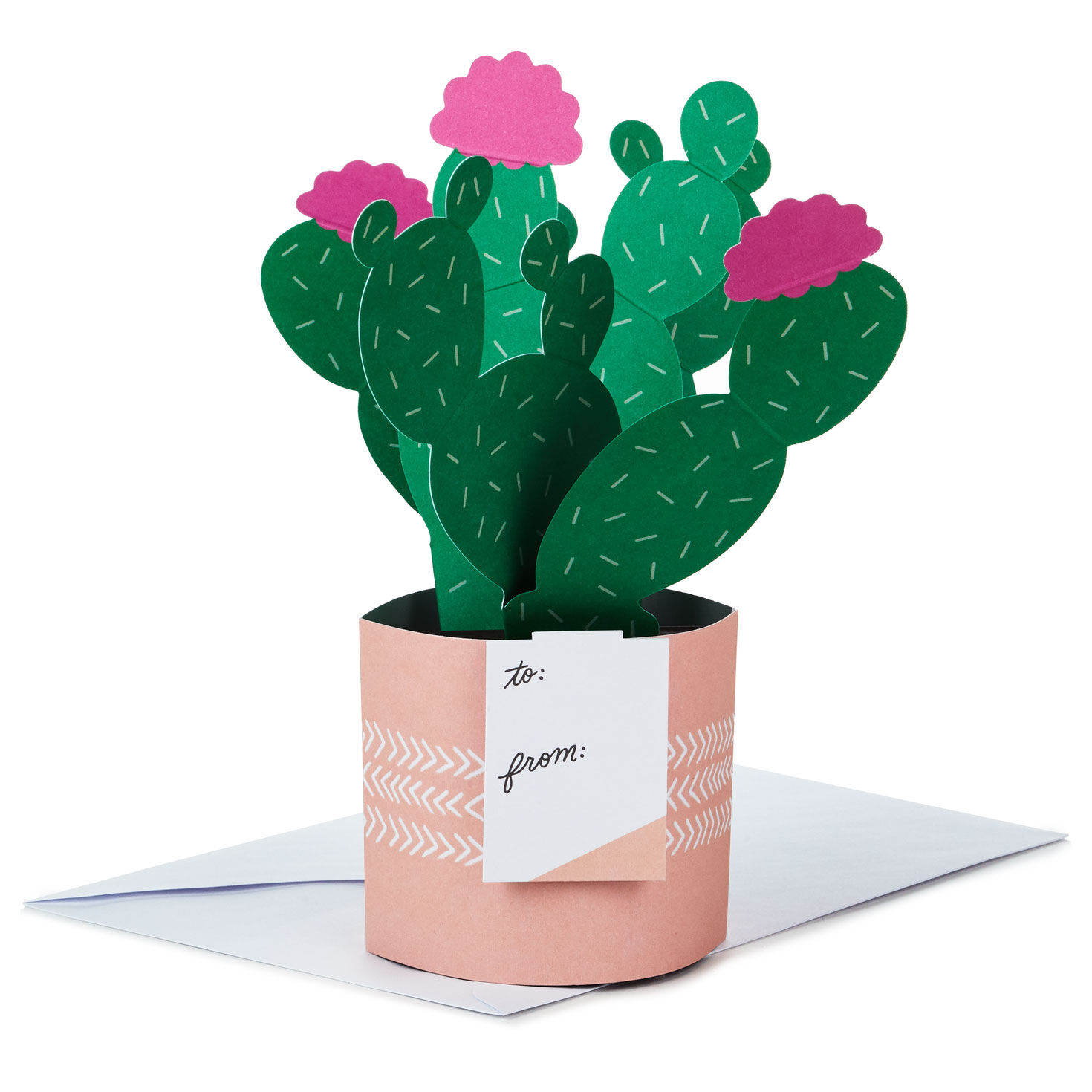 Cactus Looking Sharp 3D Pop-Up Card for only USD 6.99 | Hallmark