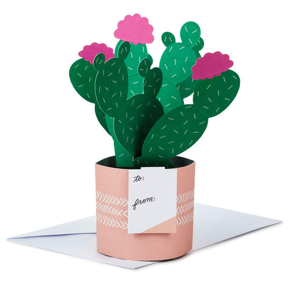 Cactus Looking Sharp 3D Pop-Up Card