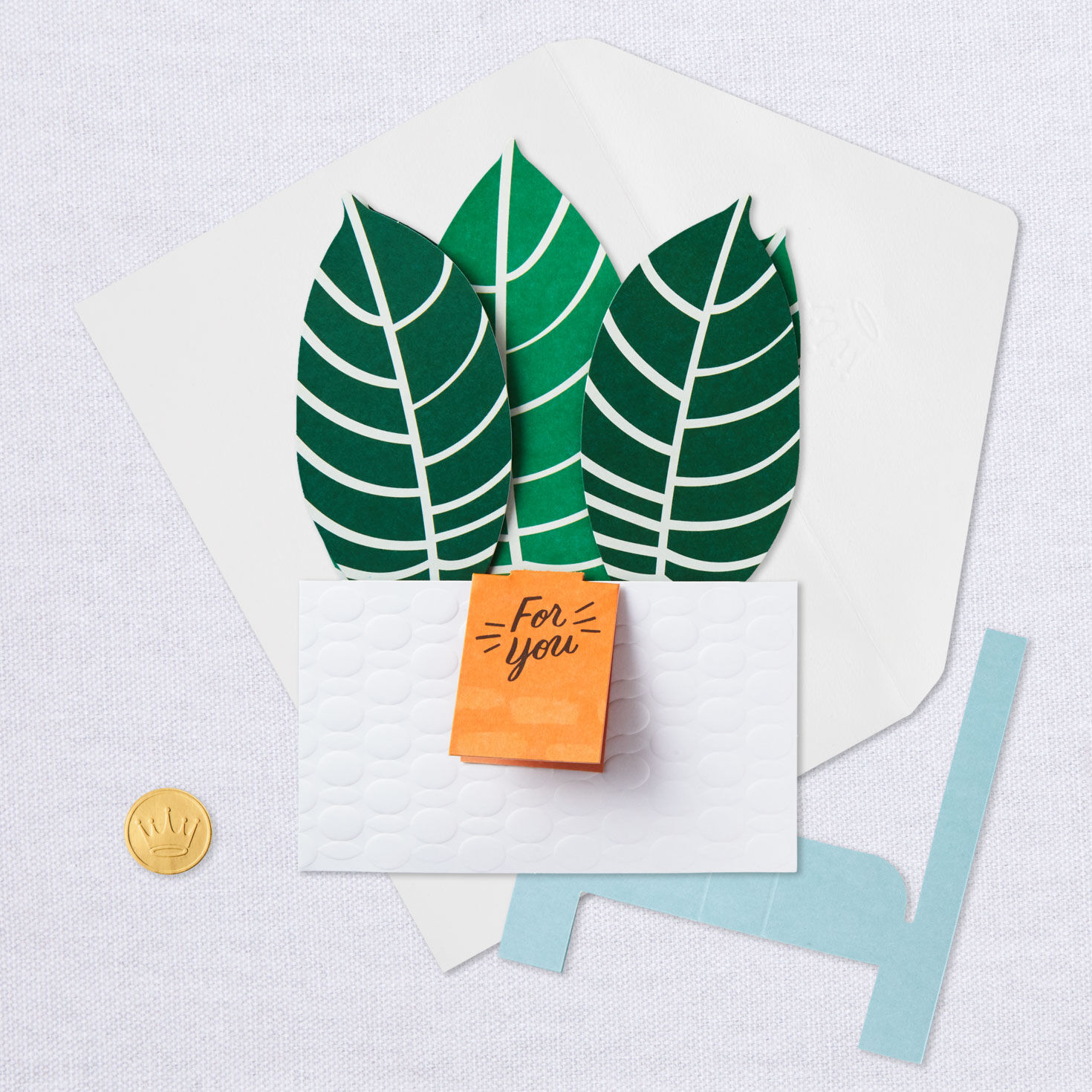 Zebra Plant Own Your Stripes 3D Pop-Up Thinking of You Card for only USD 7.99 | Hallmark