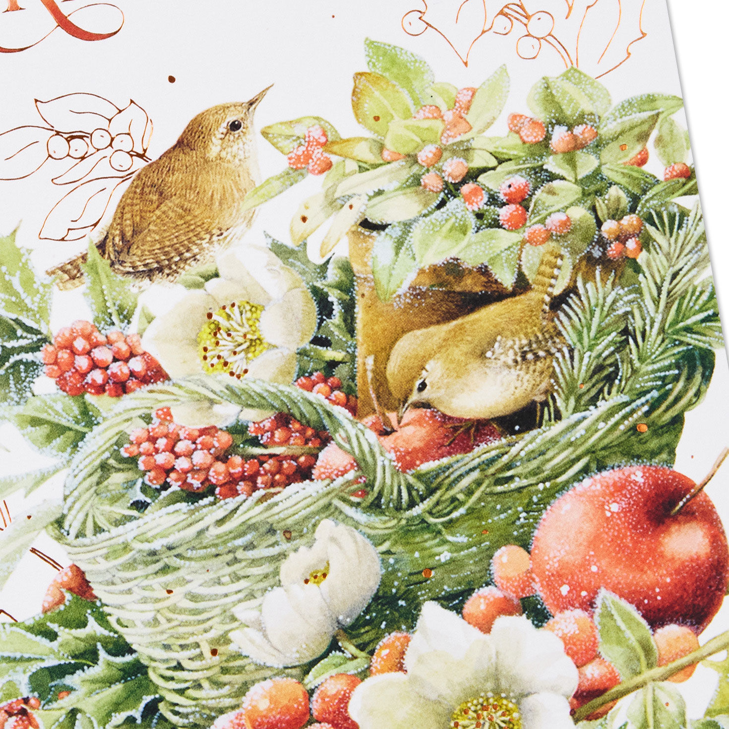 Marjolein Bastin Birds Boxed Christmas Card Pack Cover Detail image number 5