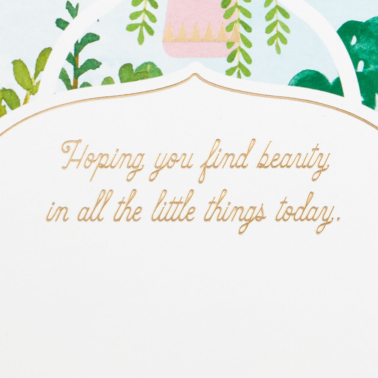 Greenhouse Plants and Cats 3D Pop-Up Card, , large image number 3