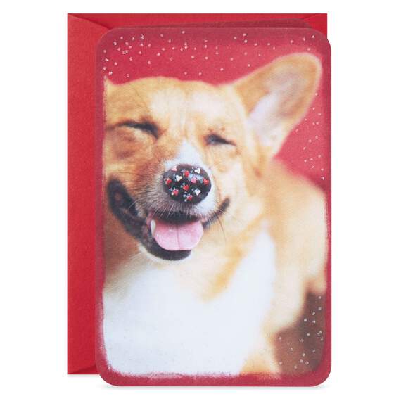 3.25" Mini Million Bits of Happy Corgi Dog Card, , large image number 3