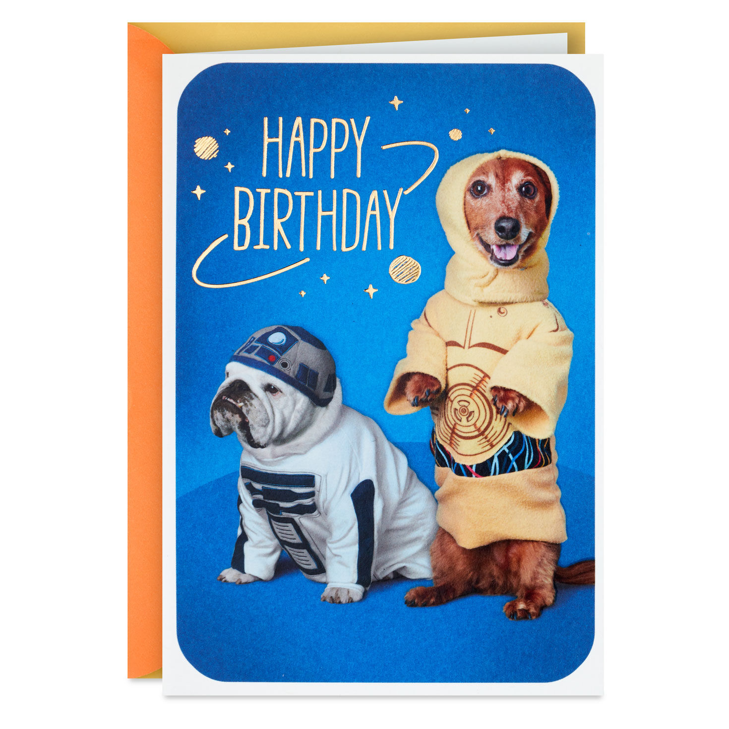 Star Wars™ R2-D2™ and C-3PO™ Dogs Birthday Card for only USD 3.59 | Hallmark