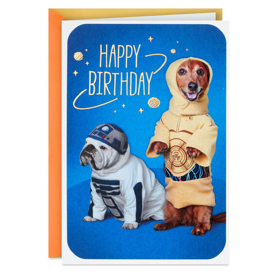 Star Wars™ R2-D2™ and C-3PO™ Dogs Birthday Card