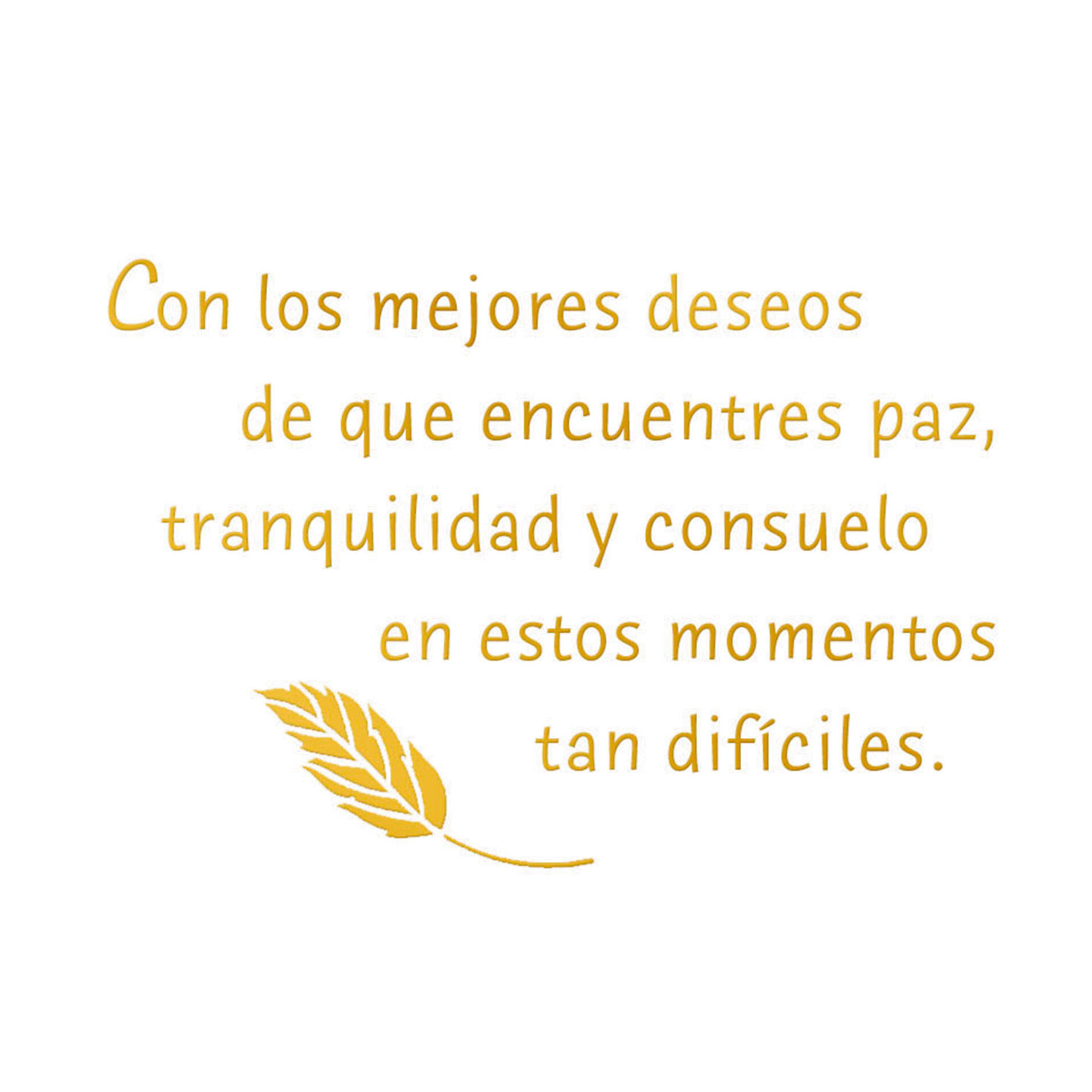 A Wish for Peace and Comfort SpanishLanguage Sympathy Card Greeting