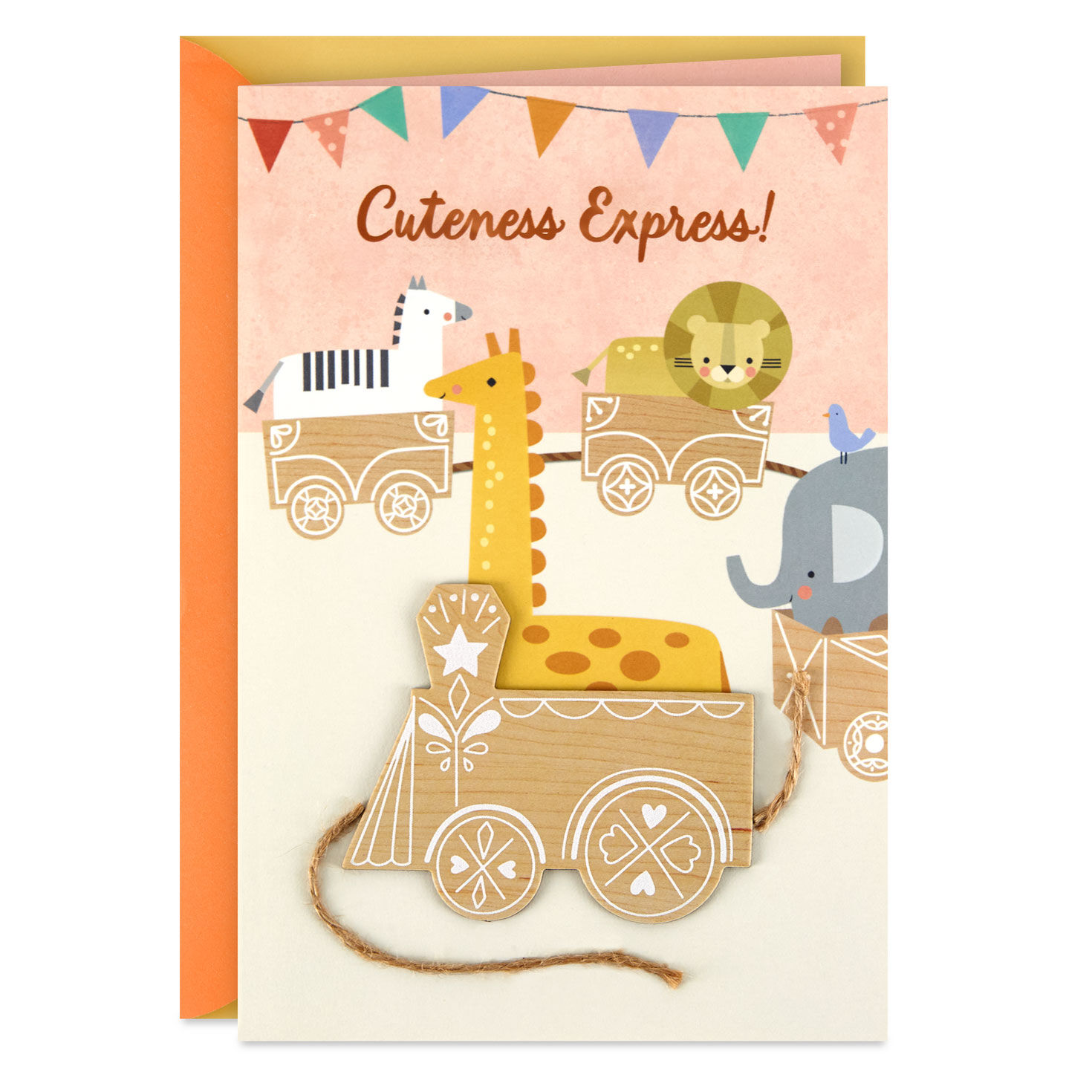 Cuteness Express New Baby Girl Card