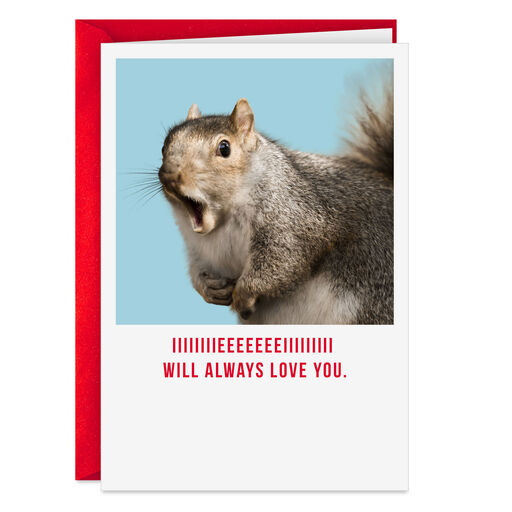 I Will Always Love You Squirrel Funny Valentine's Day Card, 
