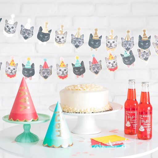 Birthday Party Supplies Hallmark