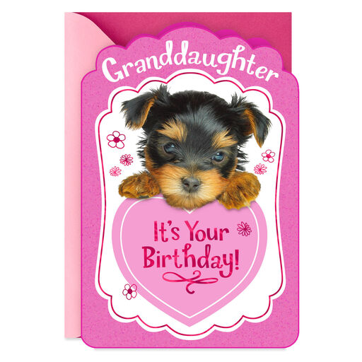Giggles in Your Heart Birthday Card for Granddaughter, 