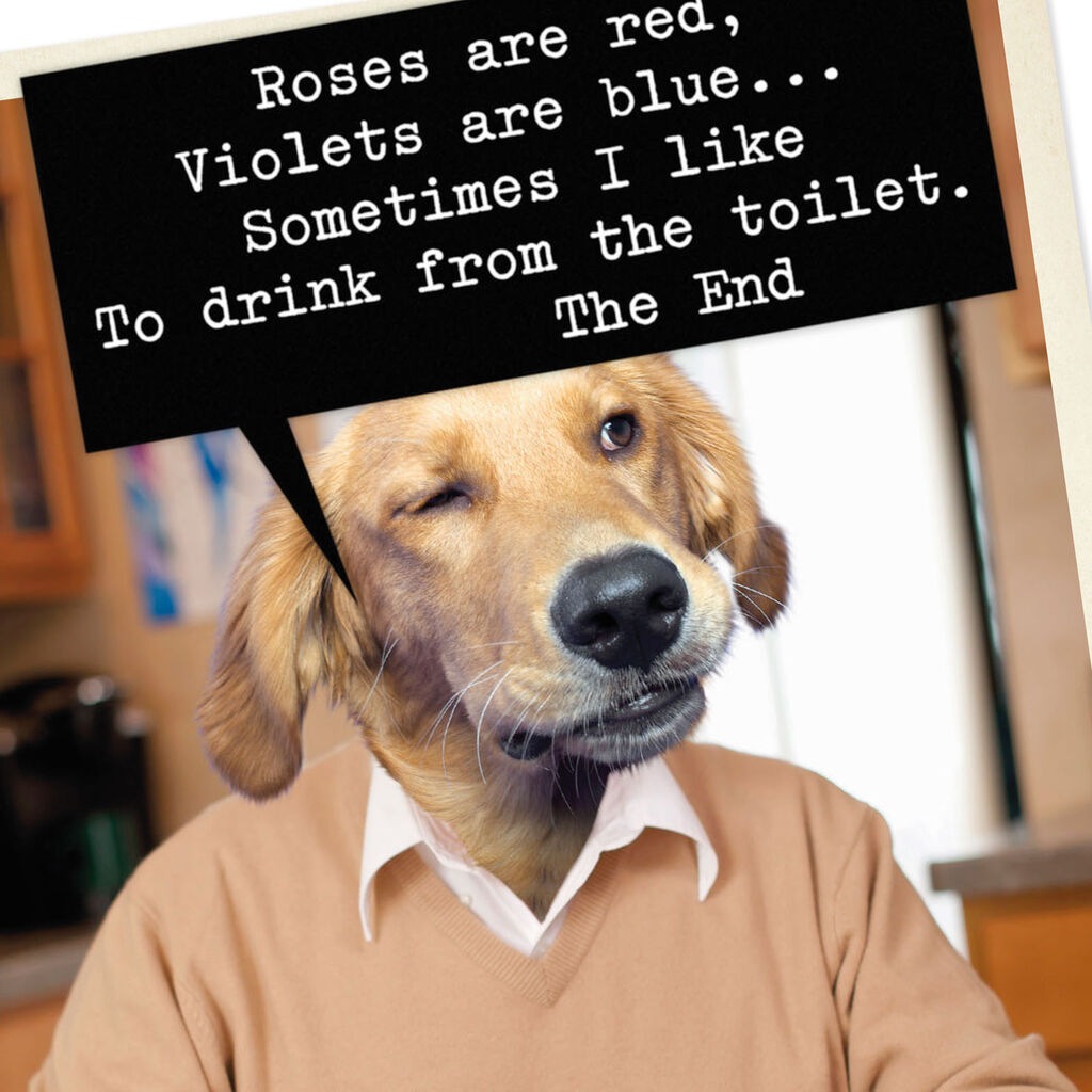 Dog Poet Funny Birthday Card Greeting Cards Hallmark