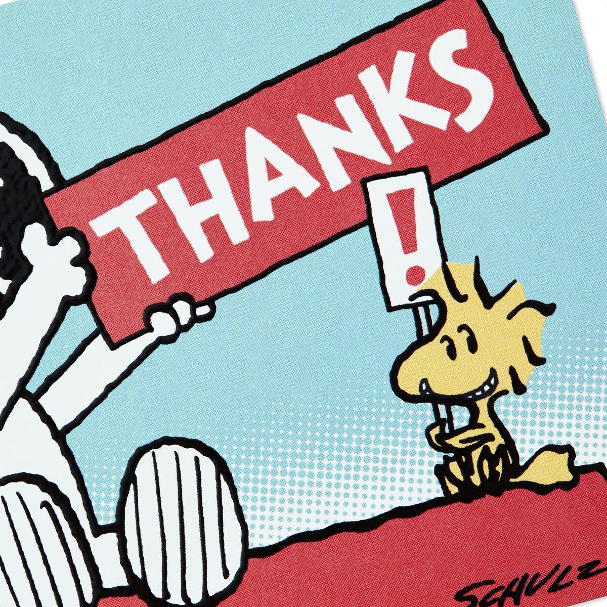 Peanuts® Snoopy and Woodstock Blank Thank You Notes, Pack of 10 Note