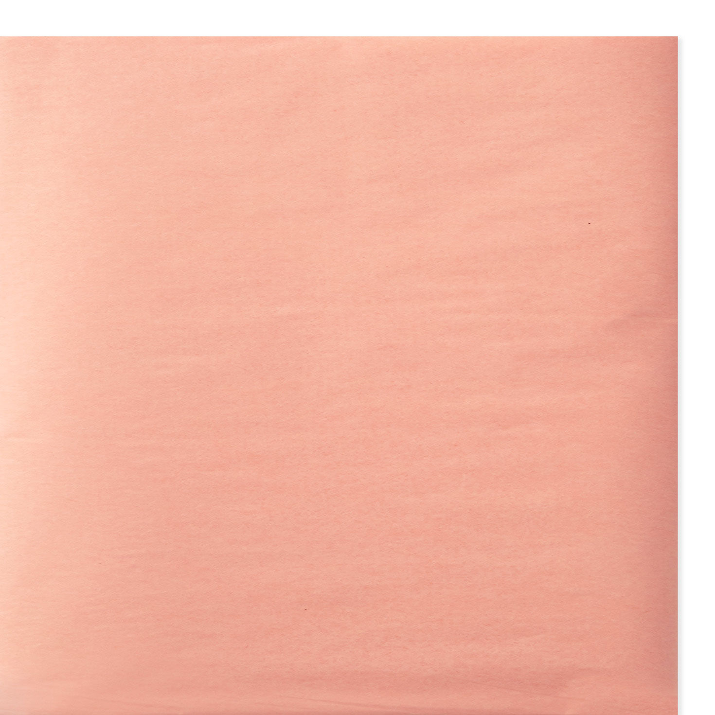 Solid Peach Tissue Paper, 8 sheets, Peach, large image number 3