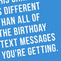 Text Message Funny Birthday Card, , large image number 4