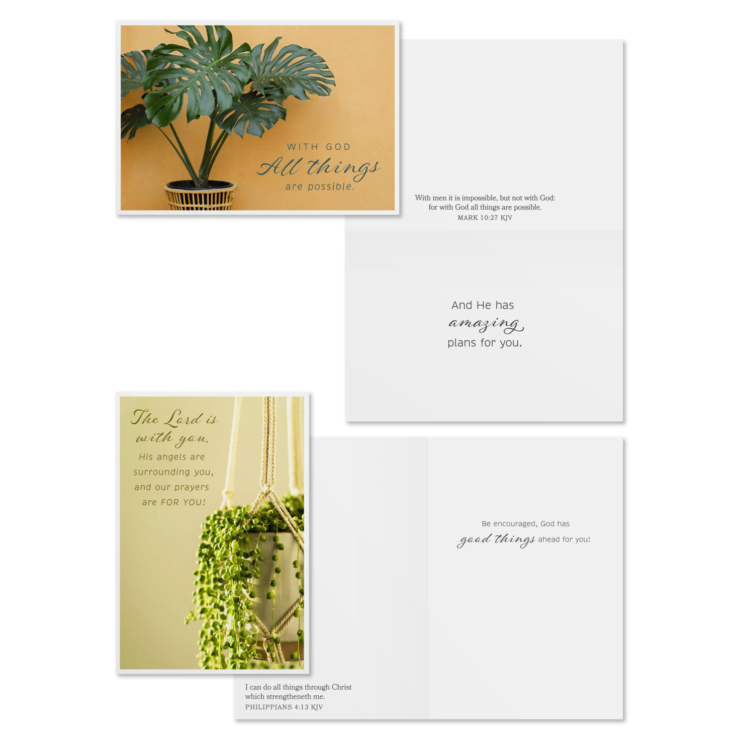 Plants DaySpring Encouragement Cards Assortment Card Front with Sentiment image number 4