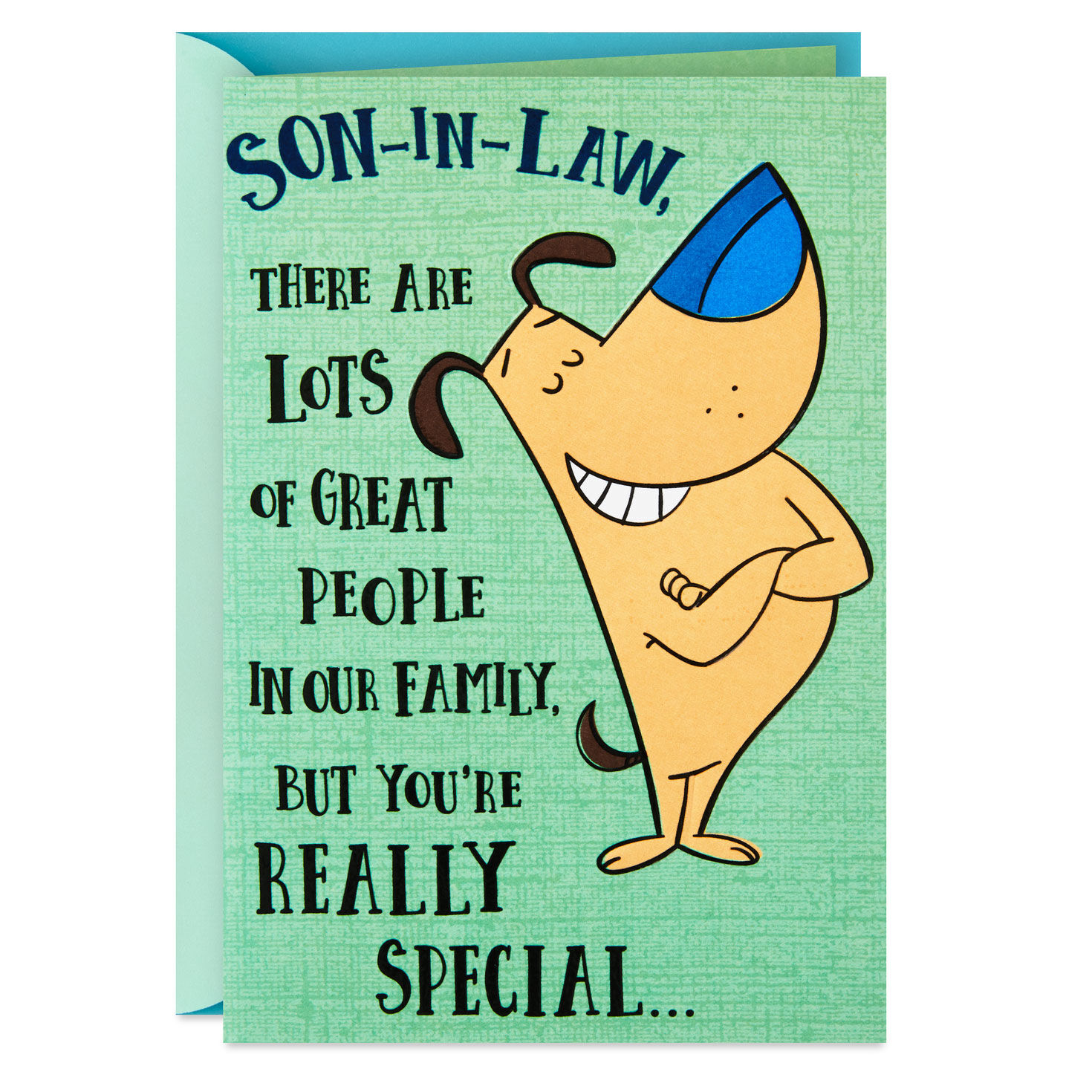 You're Really Special Funny Birthday Card for Son-in-Law for only USD 2.99 | Hallmark