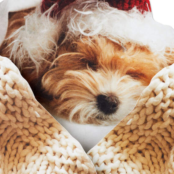 Cozy Puppy Dog in Santa Hat Christmas Card, , large image number 4