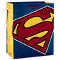 9.6" DC Comics™ Superman™ Gift Bag, , large image number 1
