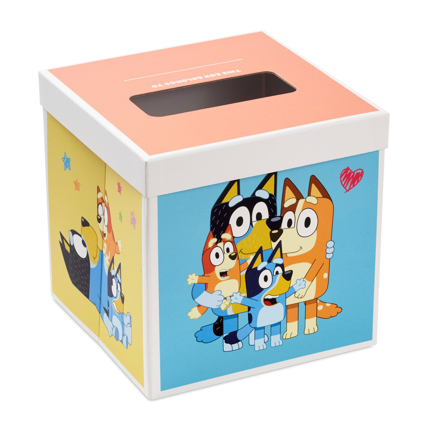 Bluey and Bingo Kids Valentines Cards and Mailbox box built image number 3