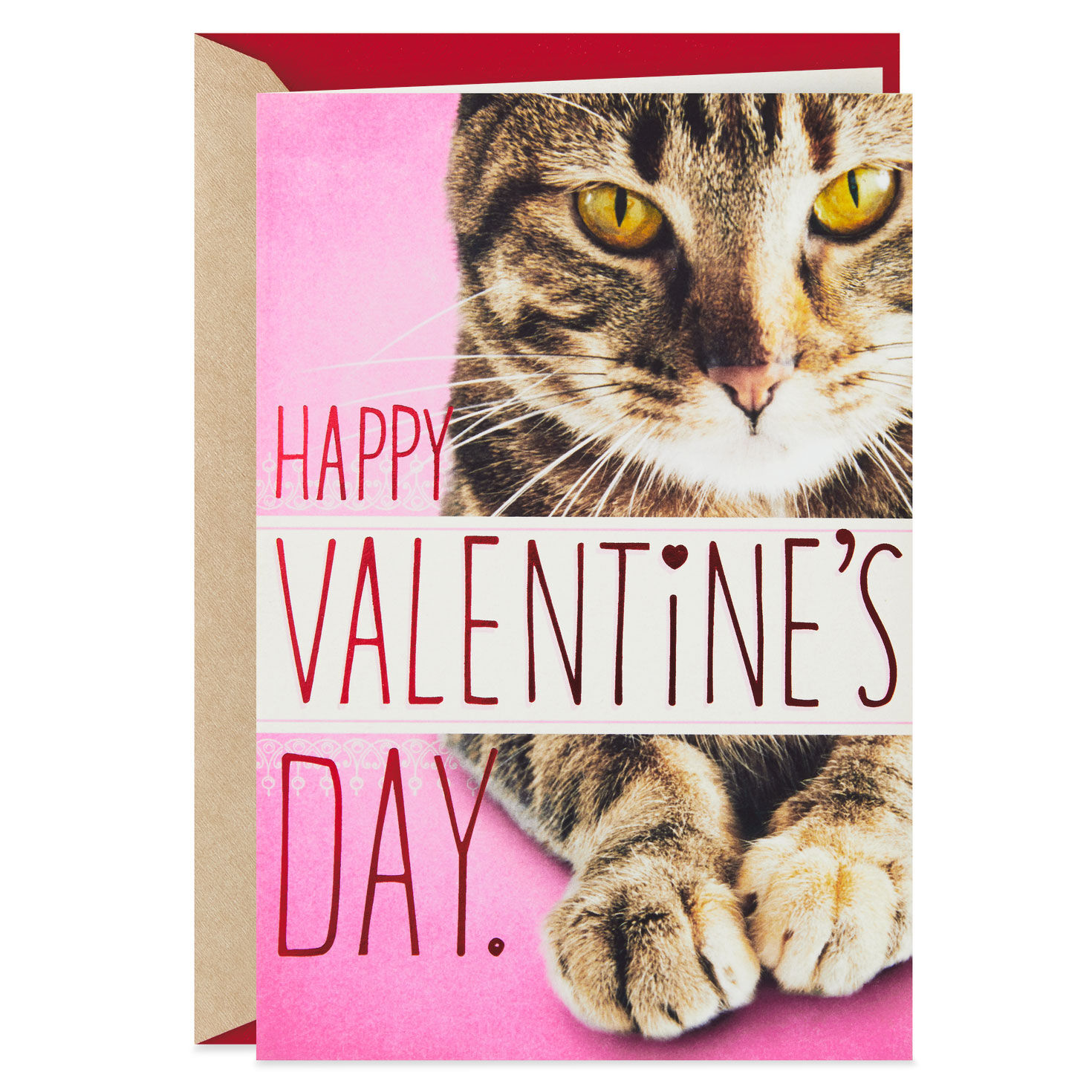 Cat You Re In My Chair Funny Valentine S Day Card Greeting Cards