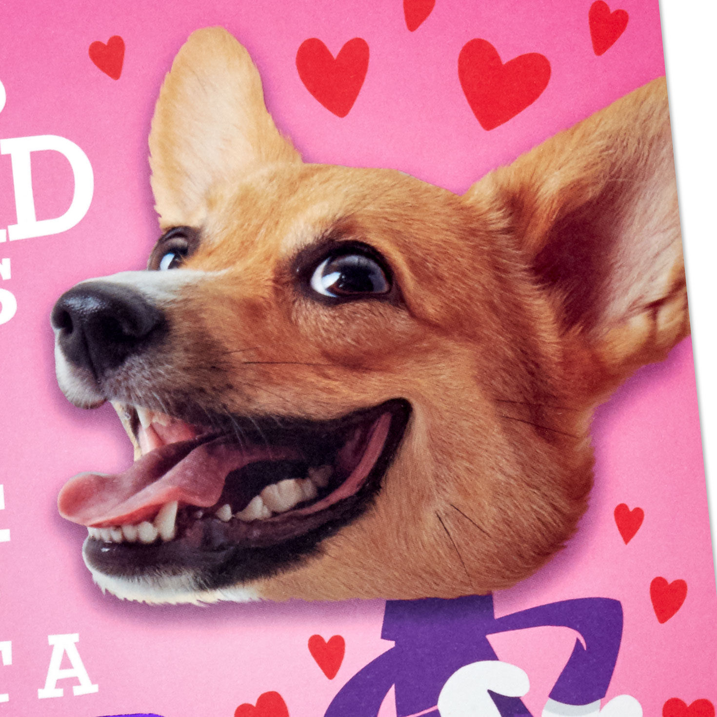 Dog Valentine's Day Card with Mini Card Card Front Detail image number 7