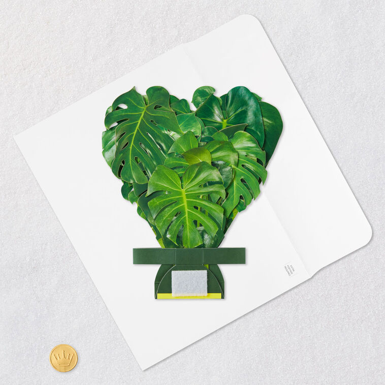 Build-a-Bouquet Monstera Pop-Up Paper Plant, Monstera Plant, large image number 7