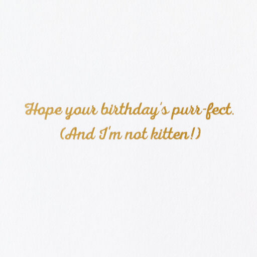 Cute Kittens Purr-Fect Birthday Card, 