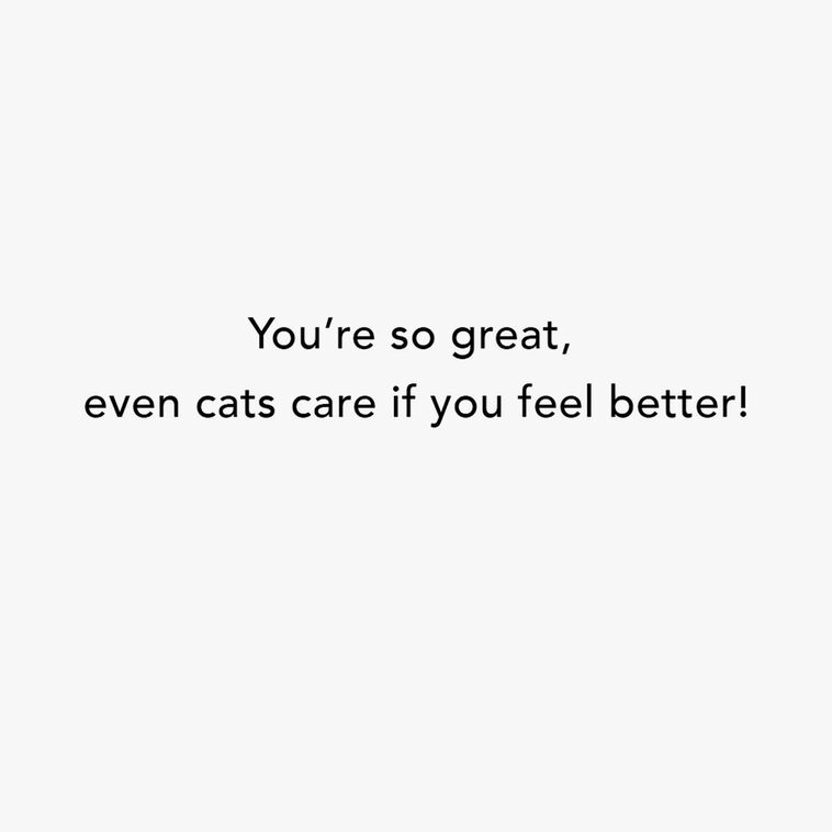 Gray Tabby Cat Praying Funny Get Well Card Sentiment image number 2